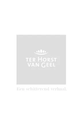 Batida jurk met geplooid effect